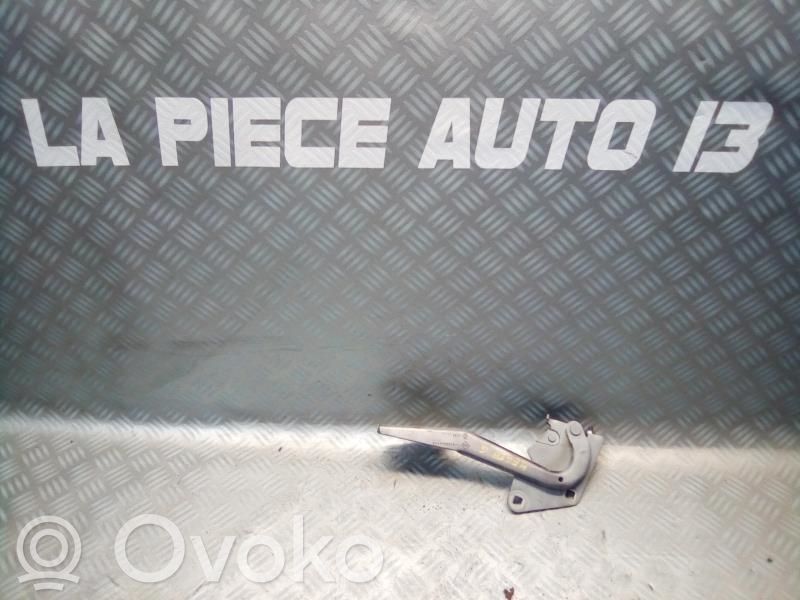 Renault Megane III Dzinēja pārsega eņģe (-es) 