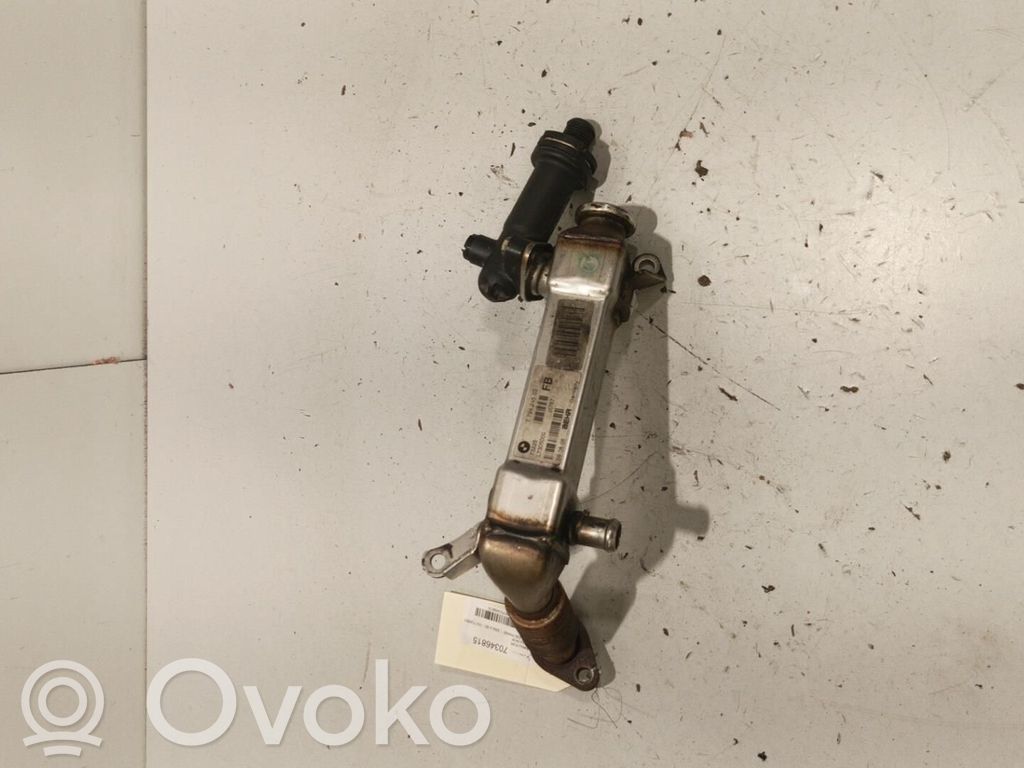 BMW 3 E90 E91 EGR aušintuvas 