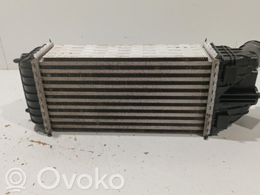 Intercooler radiator   9803900780