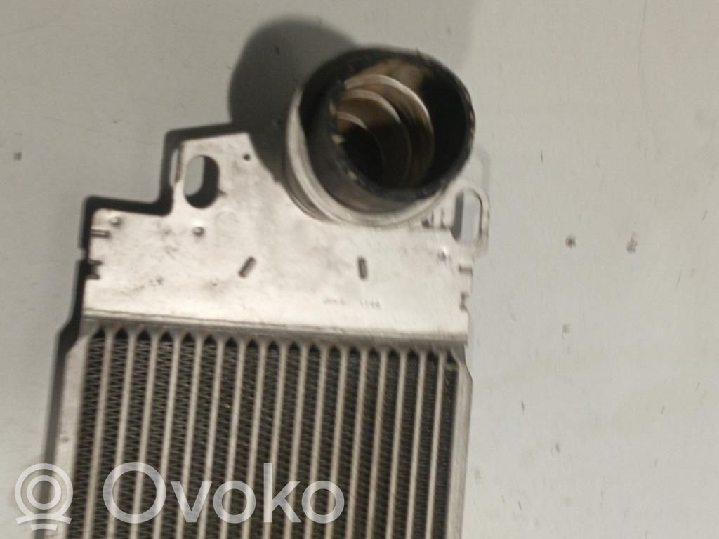 Volkswagen Multivan T5 Intercooler radiator 
