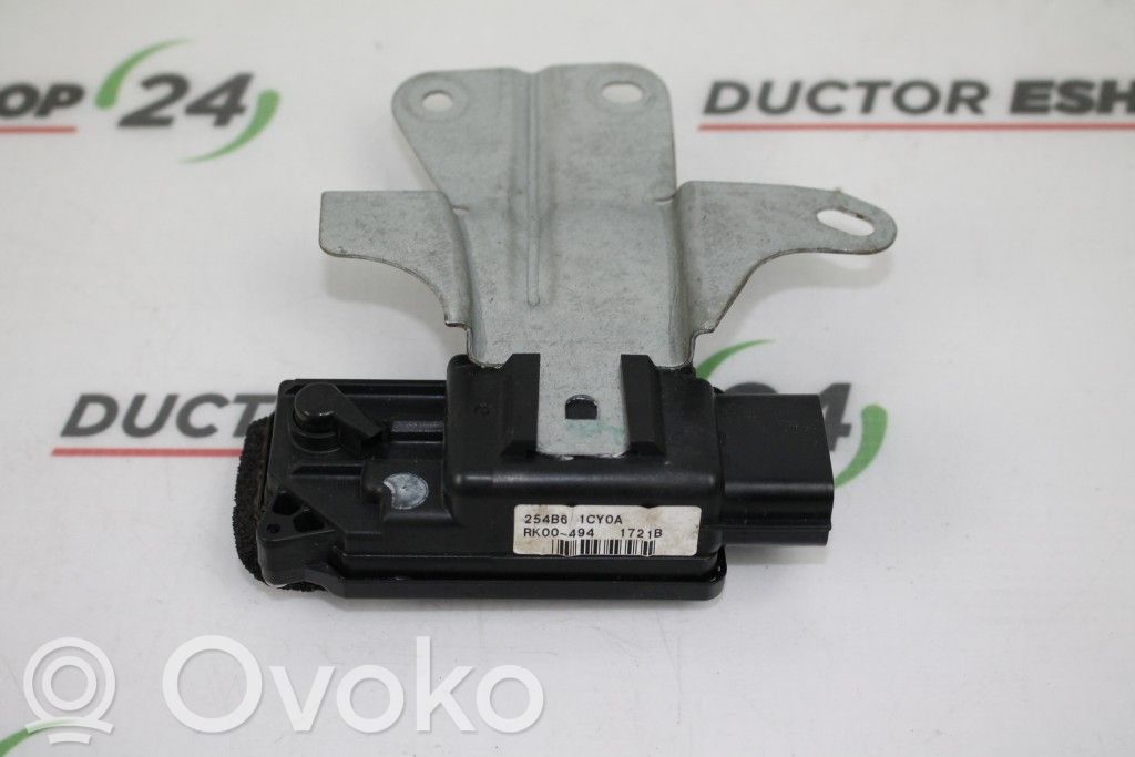 Autres unités de commande / modules   254B61CY0A,RK00494,1721B