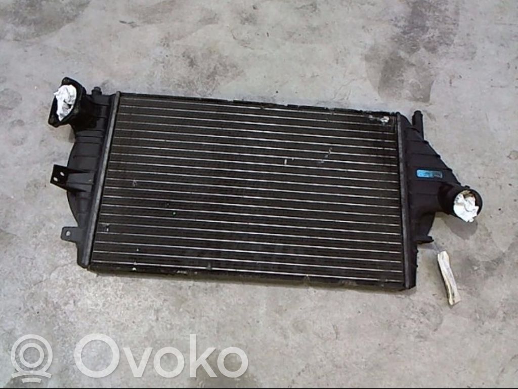 Interkūlerio radiatorius   7701040663,RENLAGRAD03773
