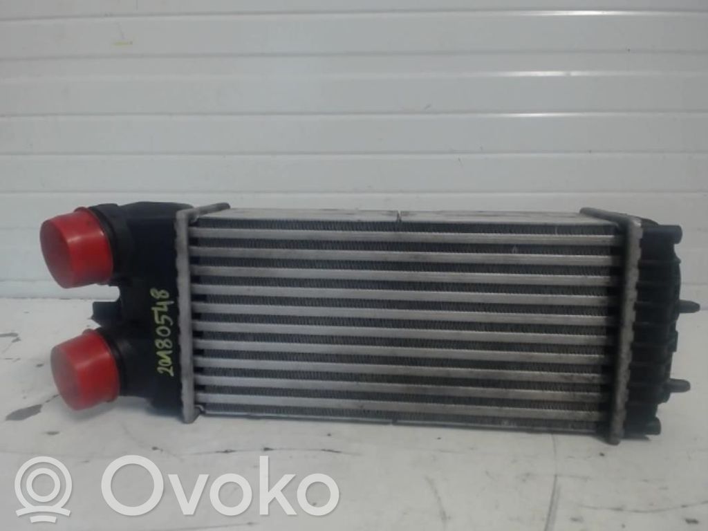 Peugeot Partner Intercooler radiator 