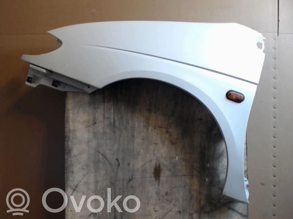Renault Scenic I Guardabarro 