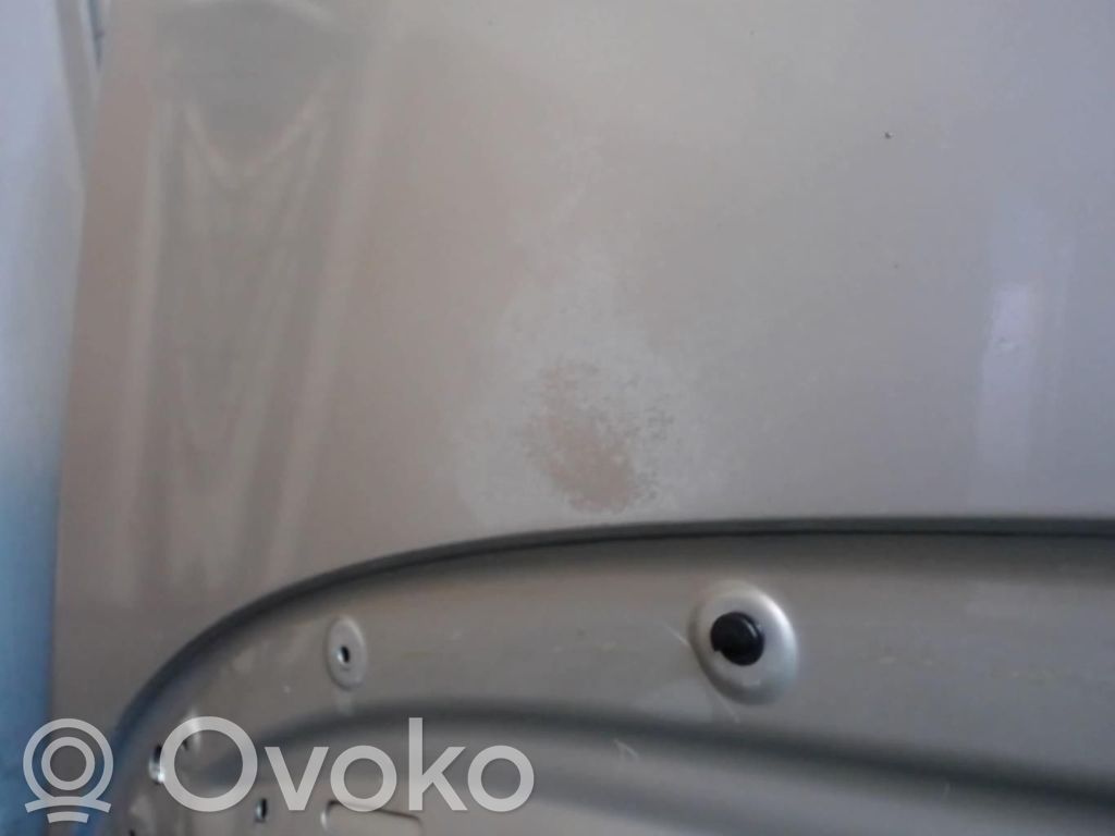 Seat Altea Engine bonnet/hood 