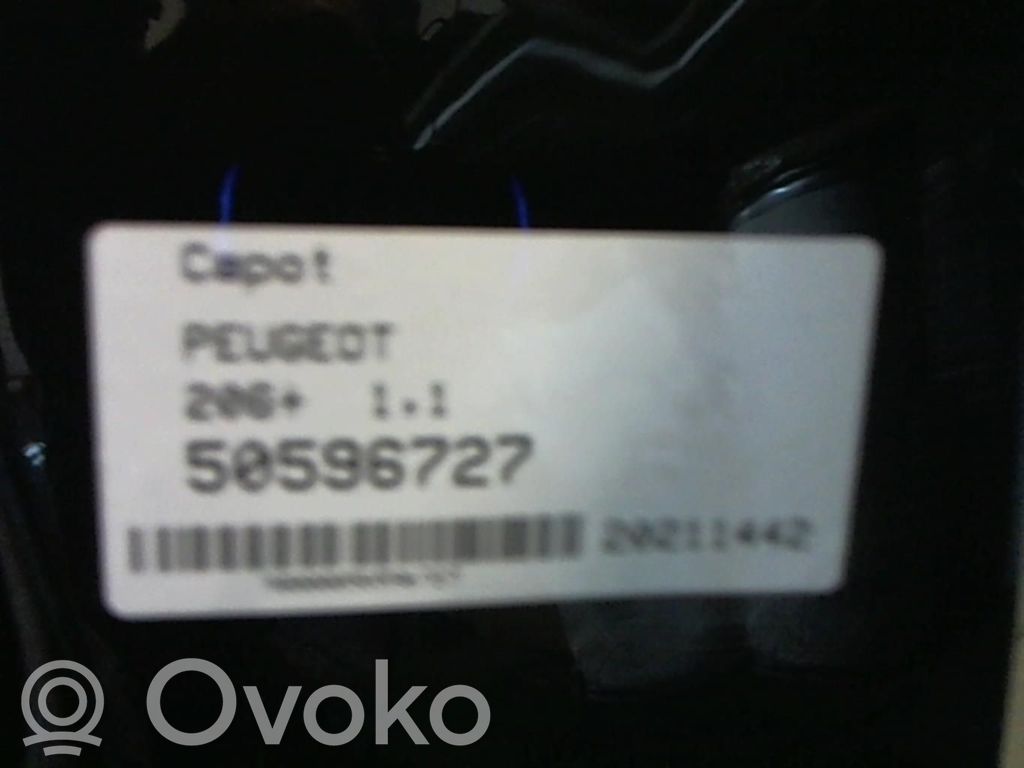 Peugeot 206+ Motorhaube 