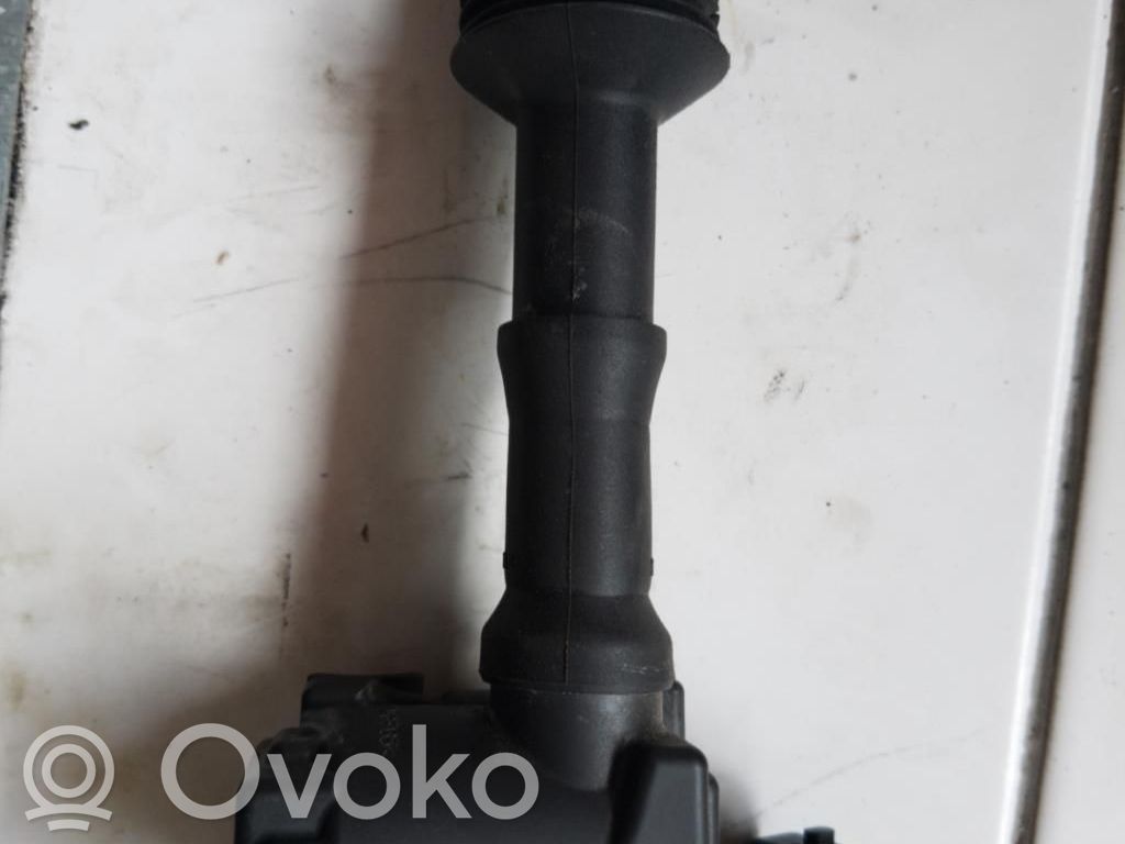Suurjännitesytytyskela   9808653680