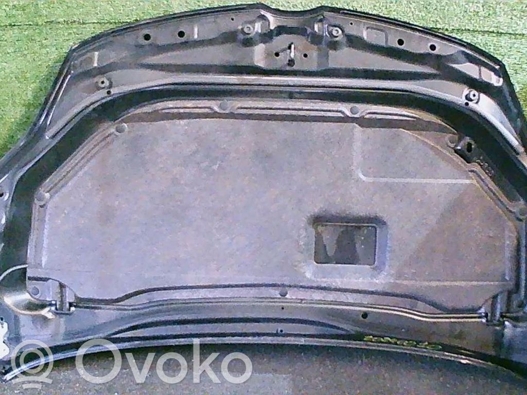 Dzinēja pārsegs (vāks)   C2Y55231XA