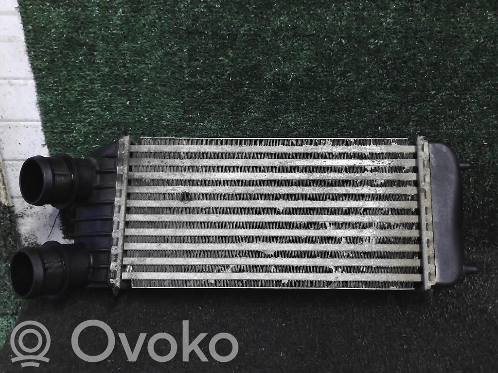Peugeot Expert Intercooler radiator 