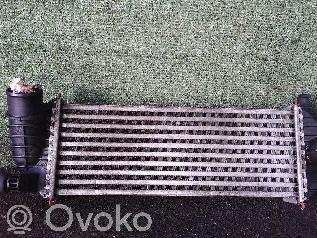 Interkūlerio radiatorius   8200427469