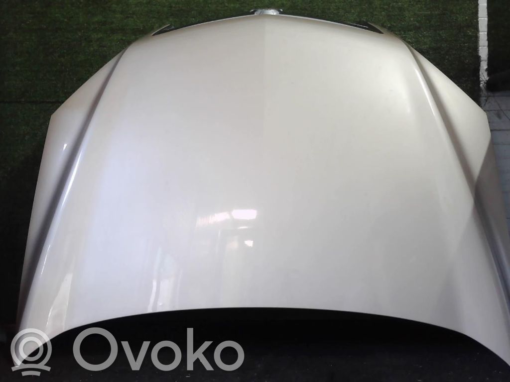 Opel Antara Konepelti 