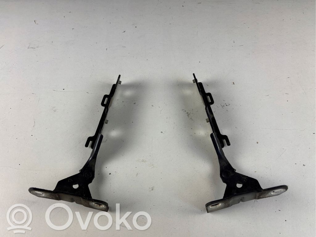 Citroen C5 Vyris (-iai) variklio dangčio 