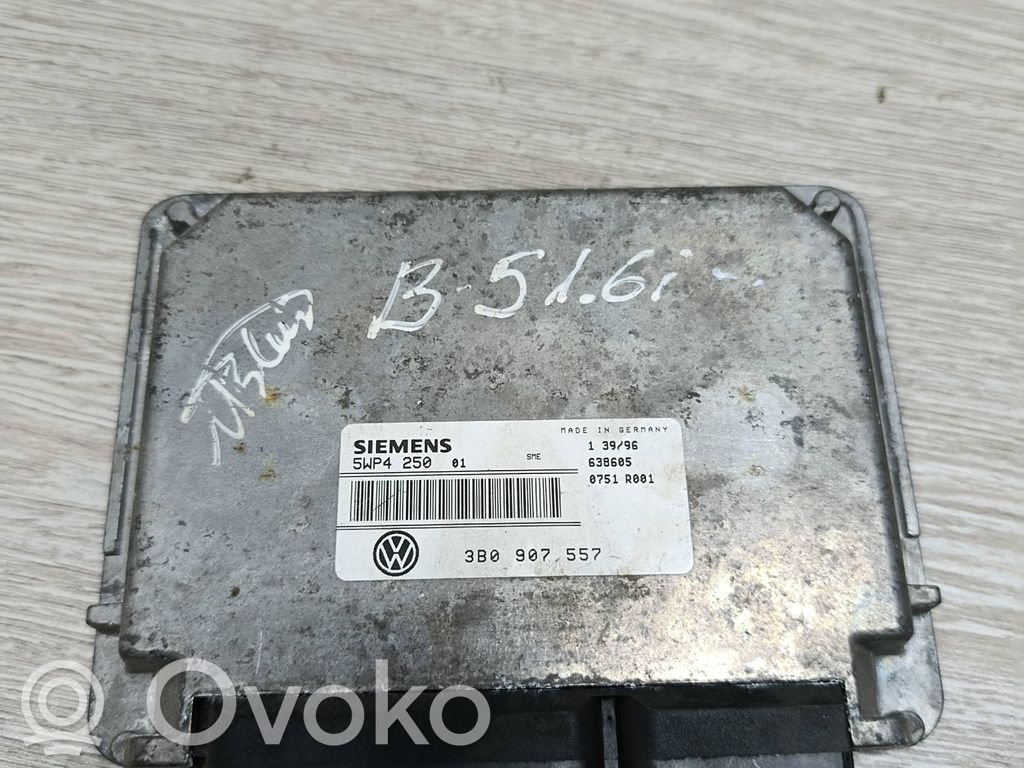 Volkswagen PASSAT B5 Sterownik / Moduł ECU 