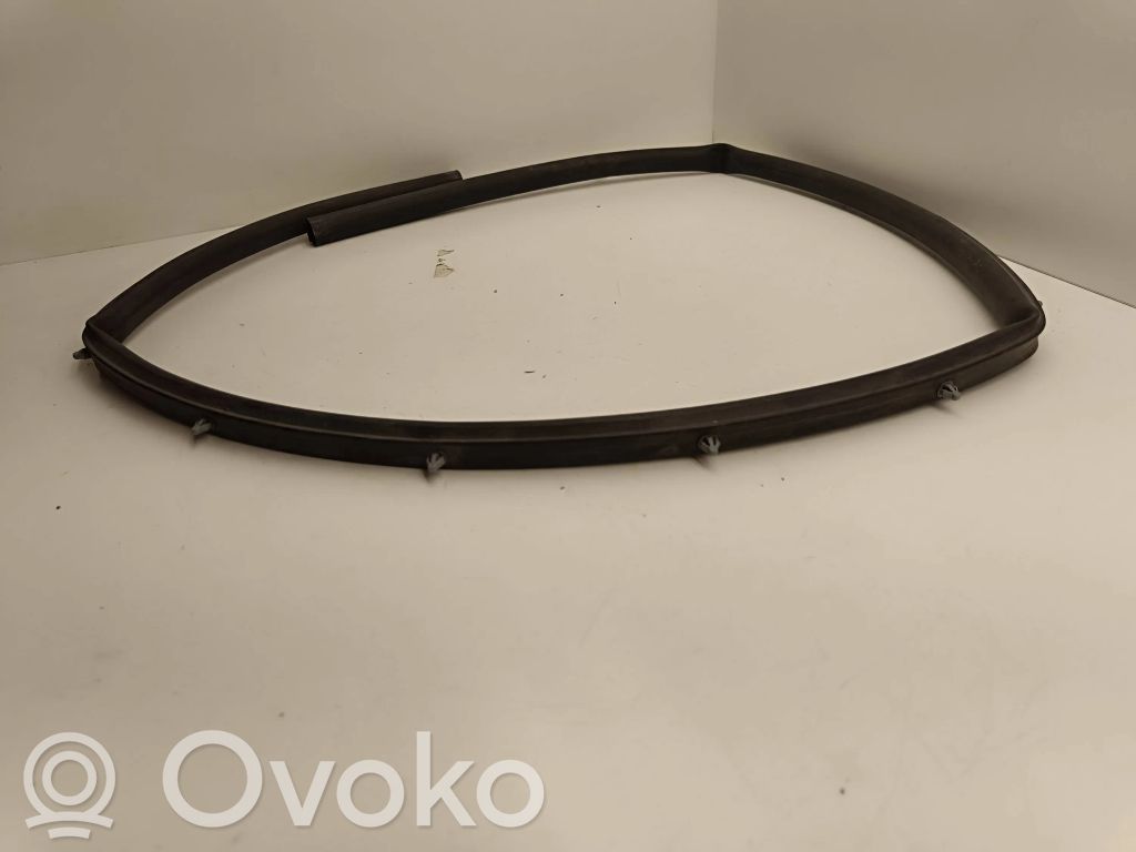 Chrysler Pacifica Engine compartment rubber 