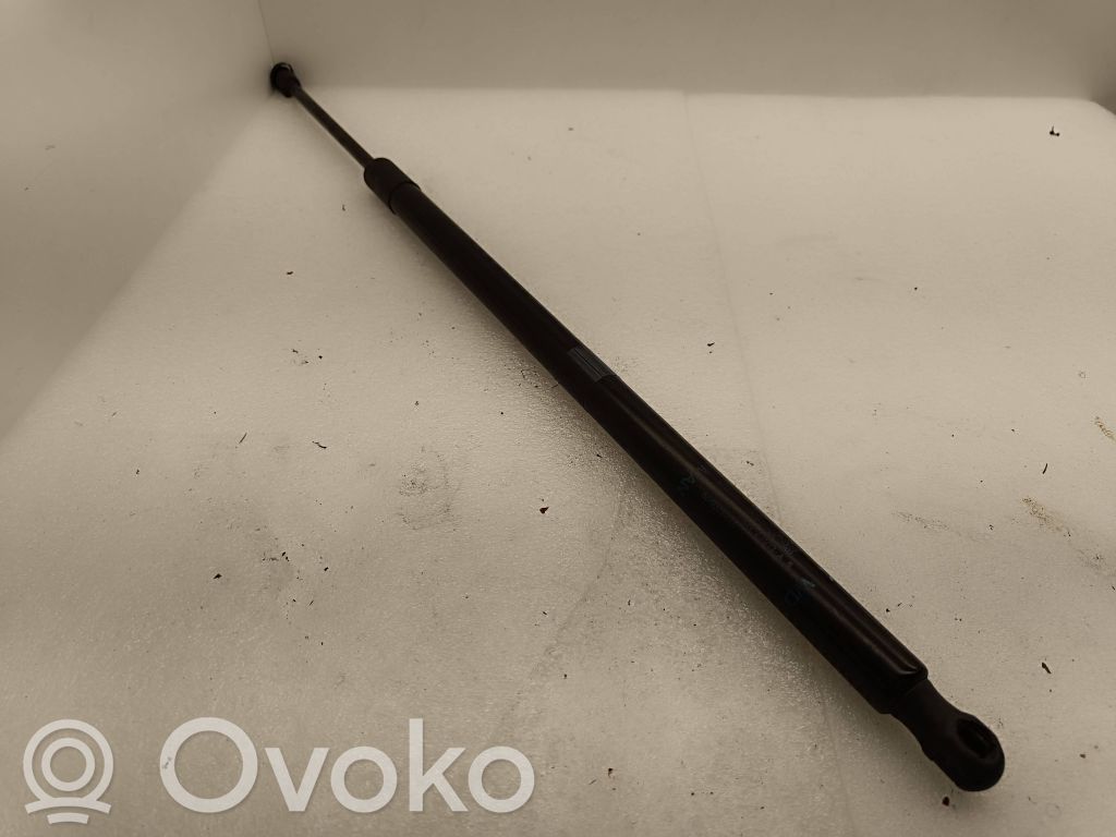 Dodge Durango III Tailgate/trunk strut/damper 