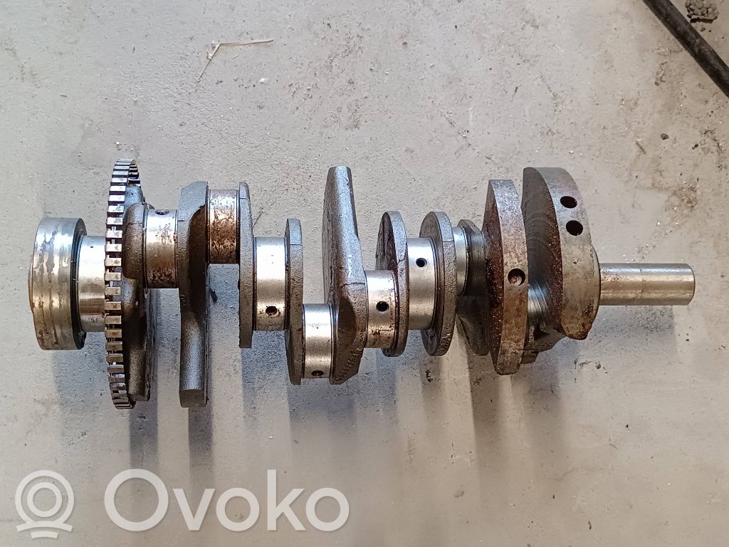 Kloķvārpsta   04893948AB