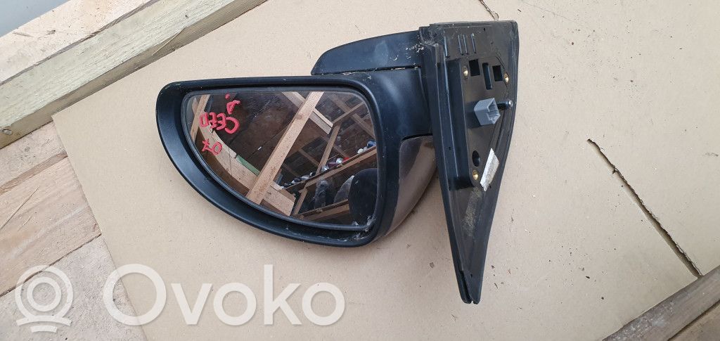 Front door electric wing mirror