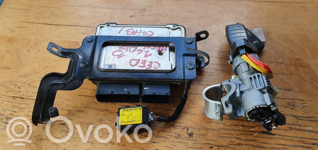 Variklio valdymo blokas   0281019544,391112A970,954202V000