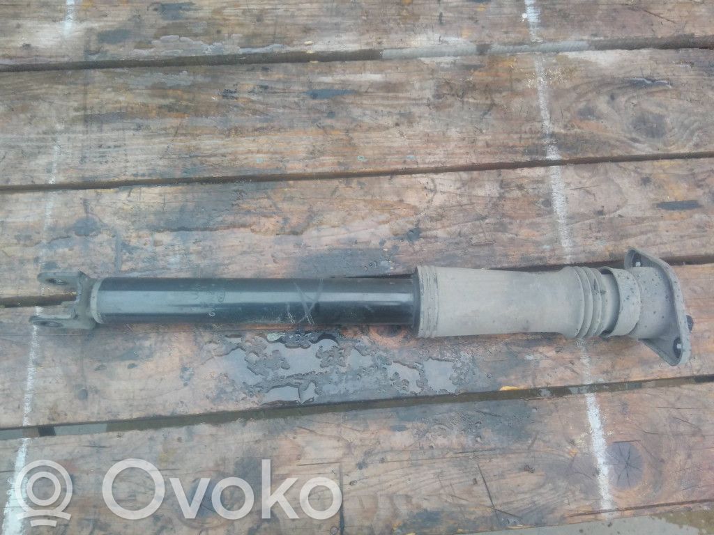 Stoßdämpfer hinten   553112Y010