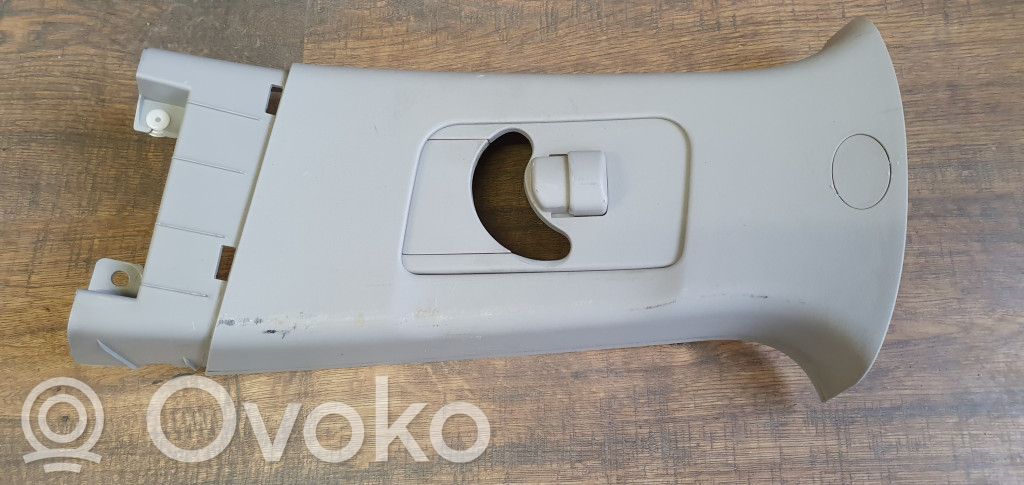 Moldura del cinturón   7211A197