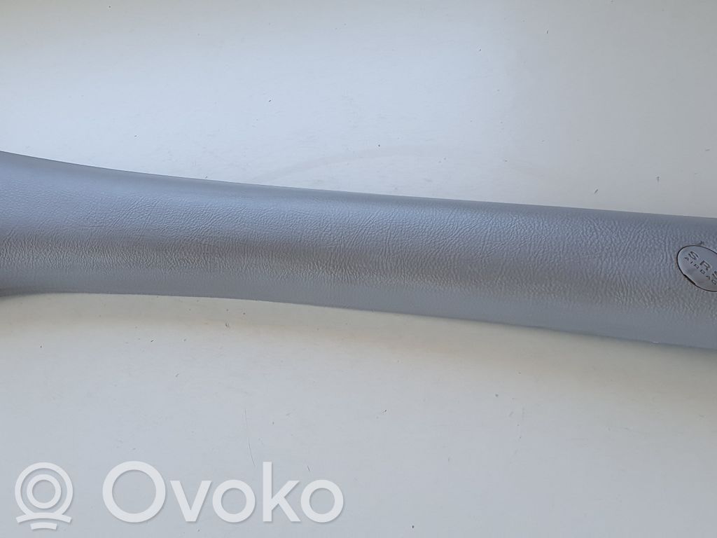 Pilar (A)   858202B010