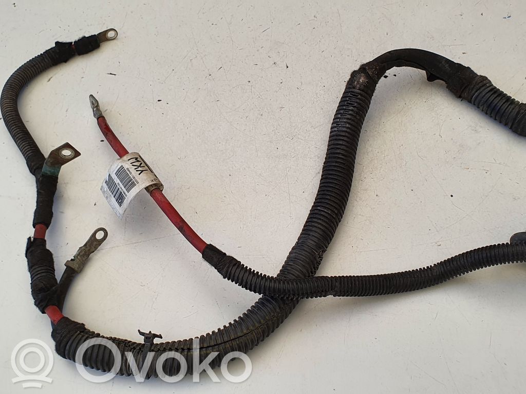 Plusa vads (akumulatora)   22969137