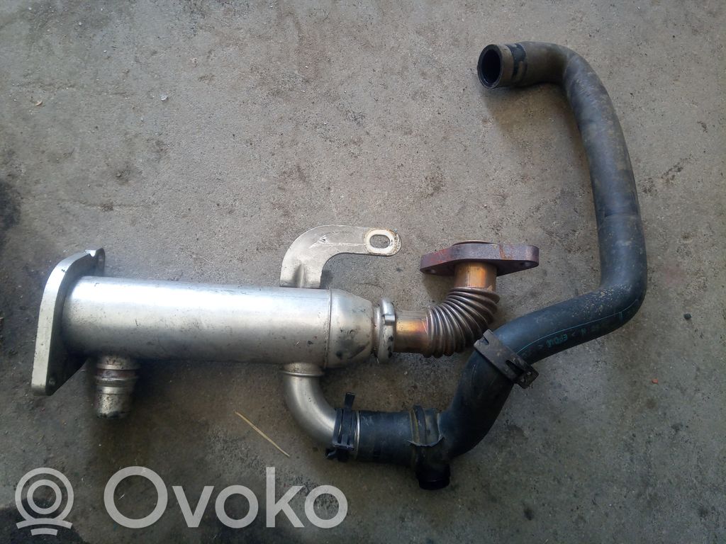 EGR aušintuvas   9645689880,H44GA,X51134