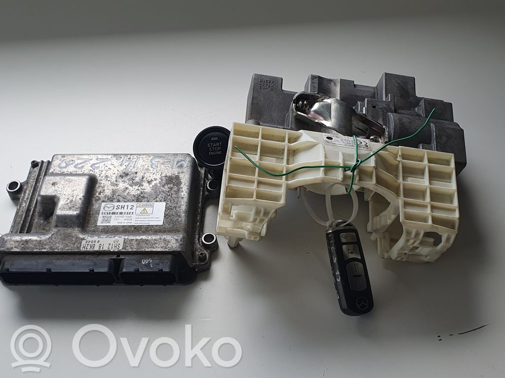 Engine control unit/module   BHR1663S0A,DB5L675S0A,SH1218881A