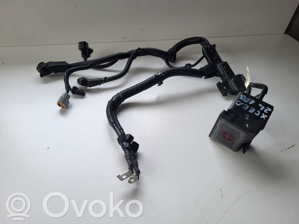 KIA Xceed Cable positivo (batería) 
