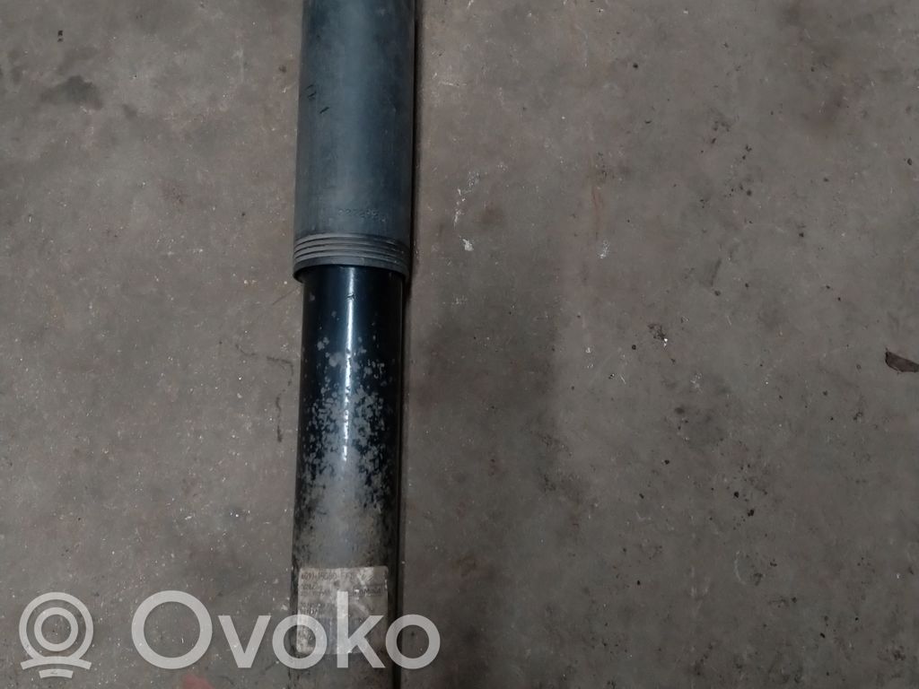 Ford S-MAX Stoßdämpfer hinten 