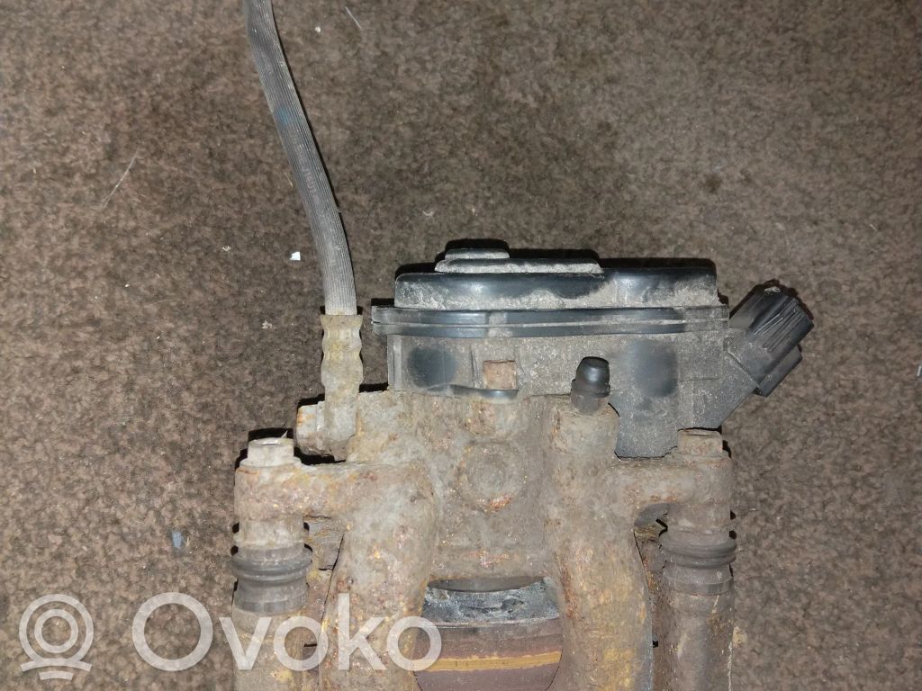Takajarrusatula   32357035