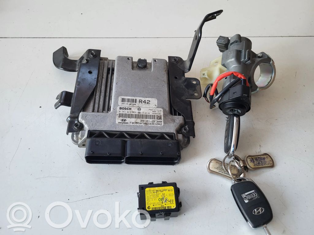 Engine control unit/module   391012F300,391162F300,954204Z000
