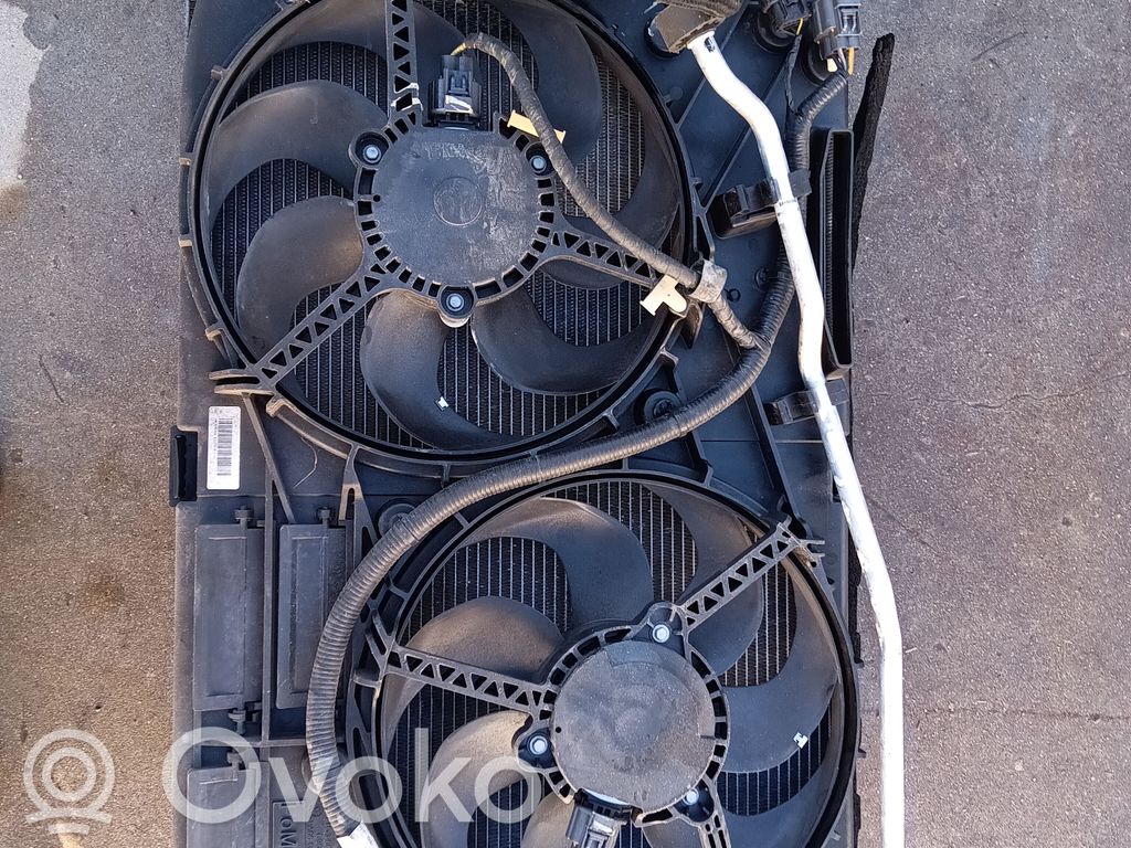 Radiator set   E1GH19710AB,EM2B8475BF,DC936K775C,DG938005,DS7P7890AC,DS7P7890BD,E1G38C607AA