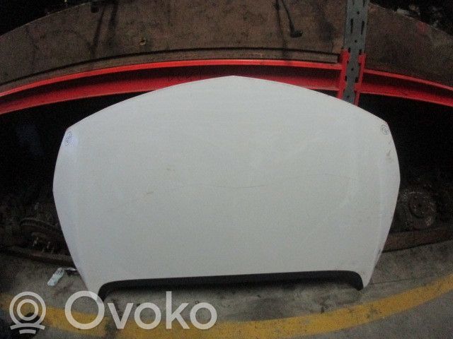 Motorhaube   CAPO656,4P