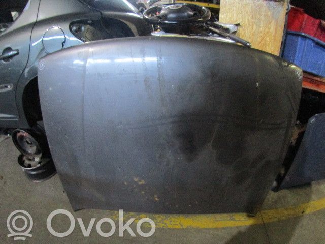 Dzinēja pārsegs (vāks)   CAPO639,4P