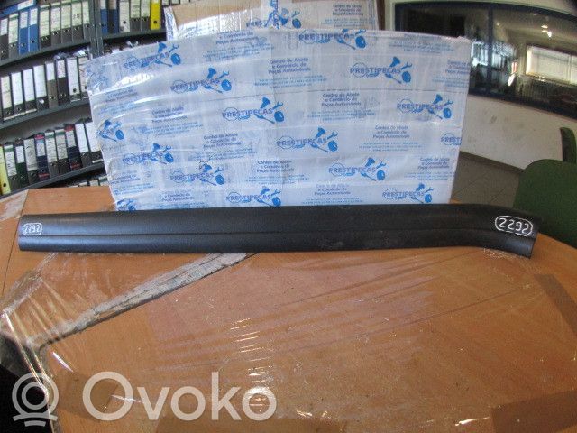 Moulure de porte avant   5147714676307