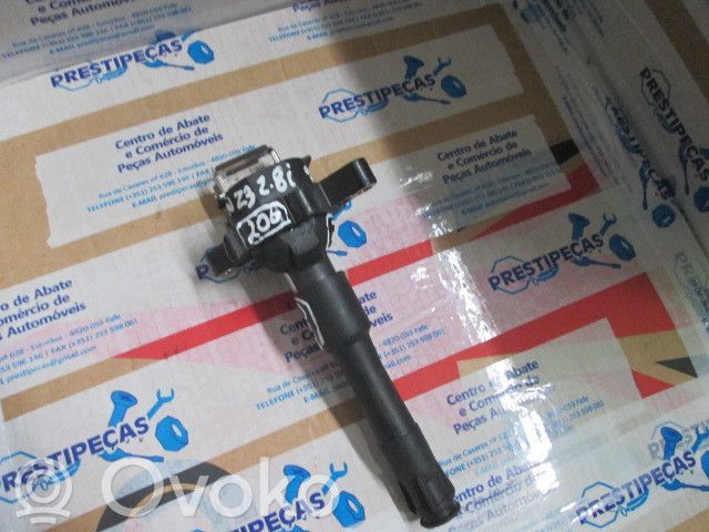 High voltage ignition coil   1748017