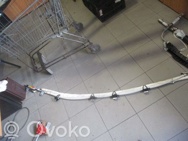 Airbag del techo   30698624