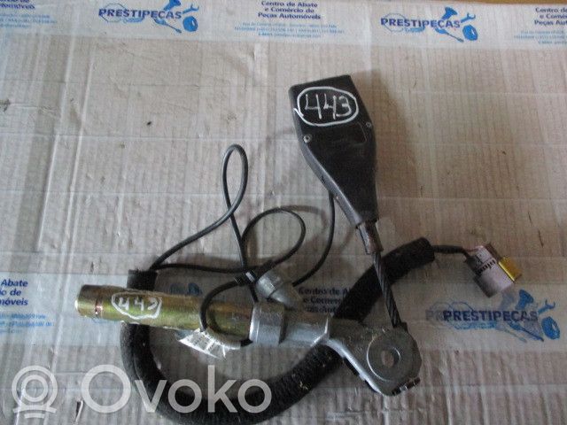 Cinturón delantero   542343400B