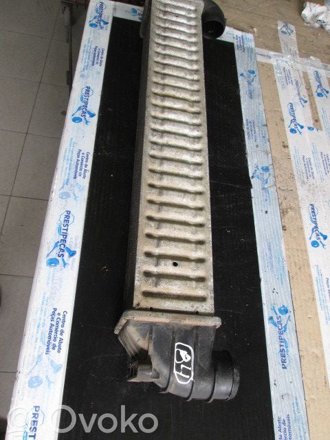 Interkūlerio radiatorius   1710078