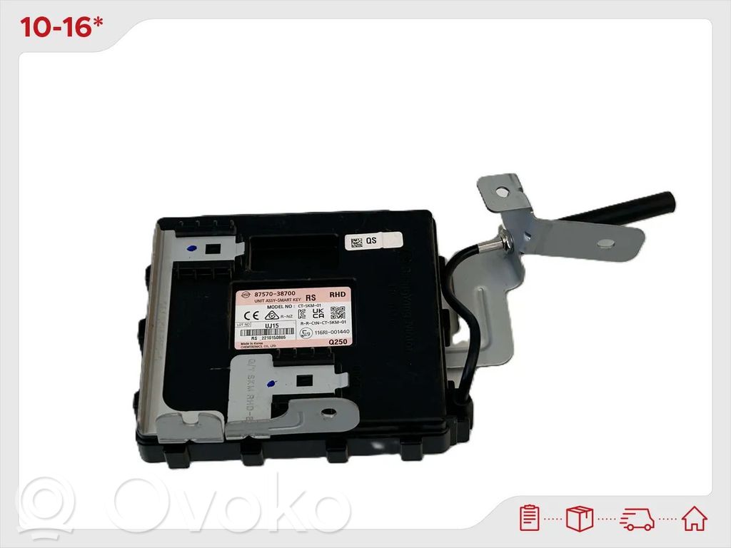 SsangYong Musso Centralina/modulo keyless go 