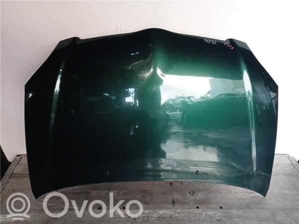 Engine bonnet/hood
