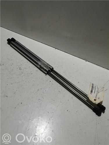 Tailgate/trunk/boot lid buffer