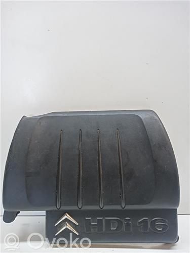 Engine cover (trim)   137E5