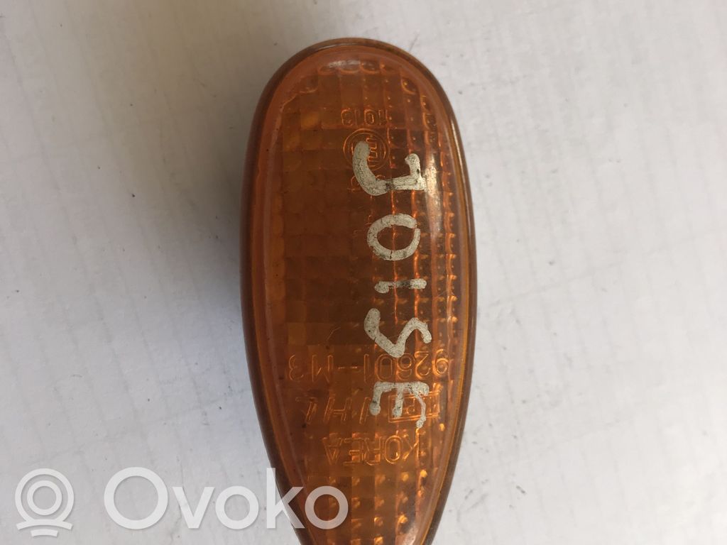 Front fender indicator light