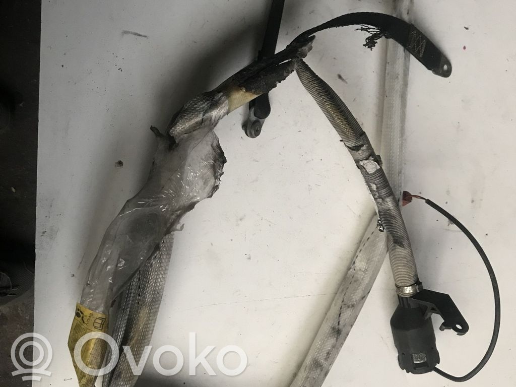 BMW 5 E39 Jumta gaisa spilvens 