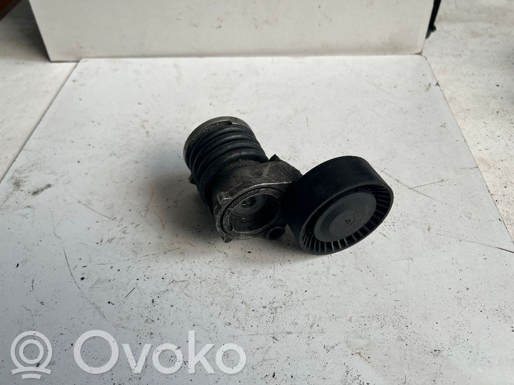 Volkswagen Polo Întinzător curea generator/alternator 