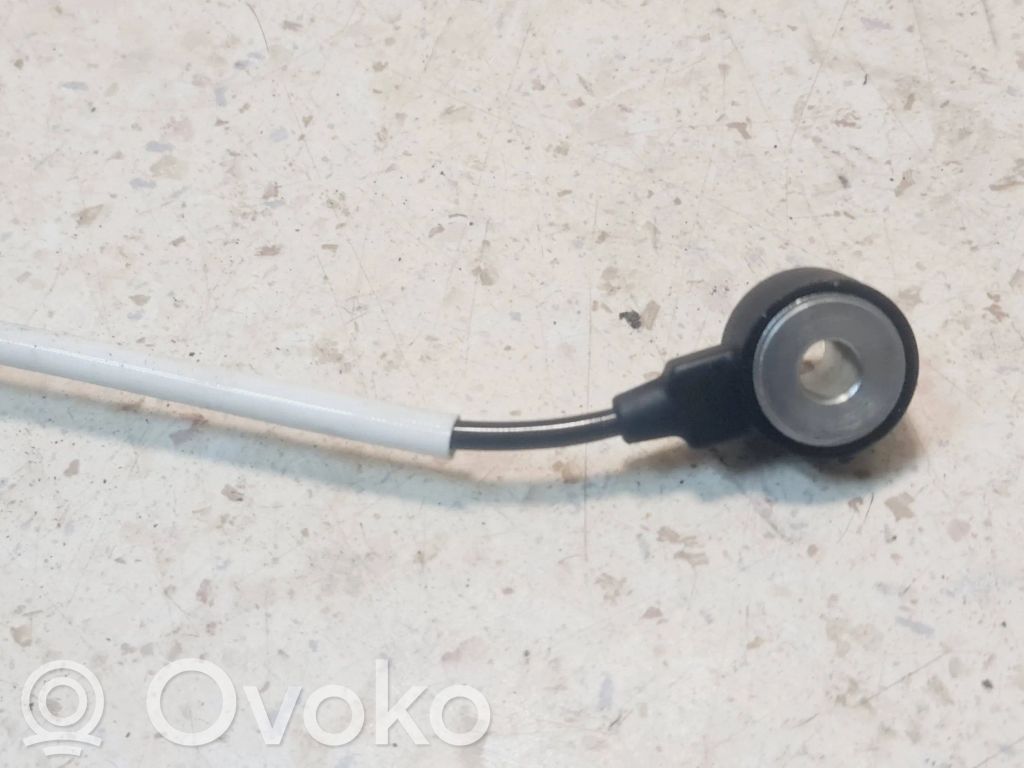 Detonation knock sensor   22713