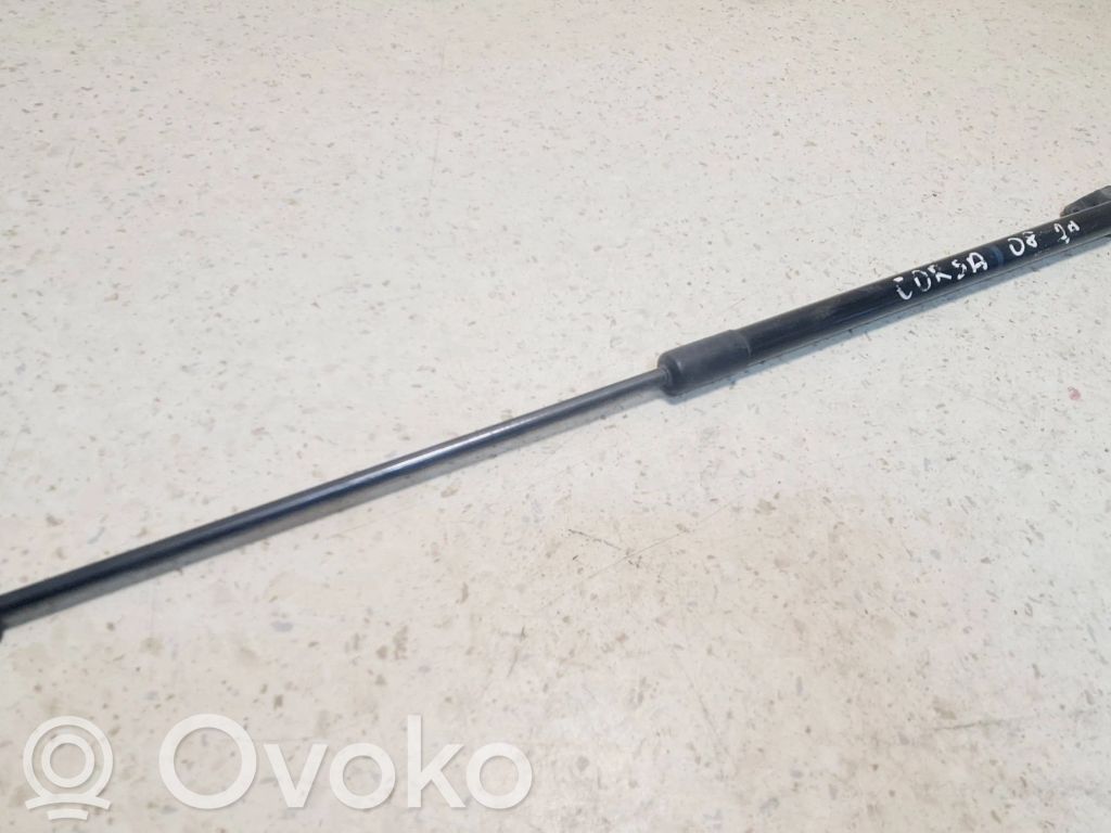 Tailgate/trunk strut/damper   13182537