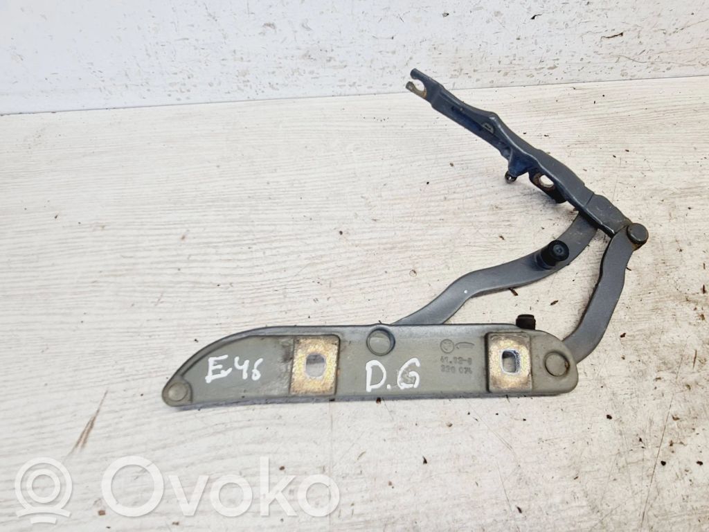 BMW 3 E46 Tailgate/trunk/boot hinge 